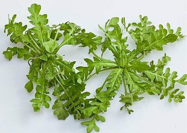 漢霸養(yǎng)發(fā)